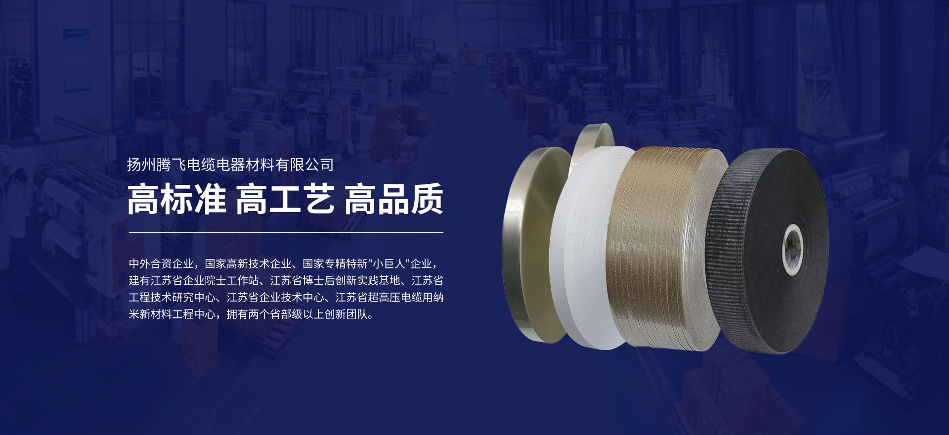 扬州腾飞电缆电器材料有限公司