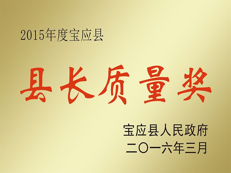 县长质量奖