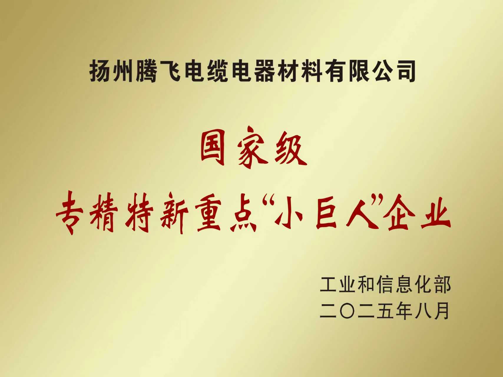国家级专精特新重点”小巨人“企业